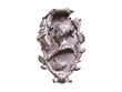 A Cast Iron Door Knocker.
