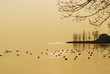 Lac Léman