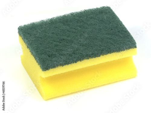 Photo: Spugnetta Spugnetta