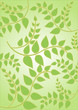 floral background