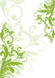 floral background