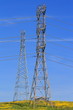 Two Electricity Pylons