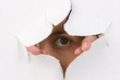 Foto: Watching through Watching through