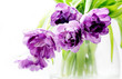 Tulips bouquet in vase
