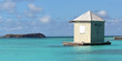 Caribbean Paradise
