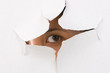 Foto: Looking through Looking through