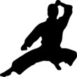 Kampfsport