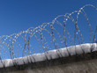 barbed wire fence