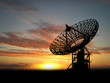 Satelite Dishes
