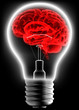 Idea