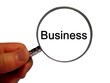 Loupe Business