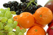 Obst 24