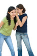Gossip