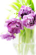Tulips bouquet in vase