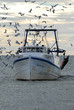 bateau de pêche port oiseau bateau de pêche port oiseau