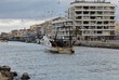 bateau de pêche port oiseau