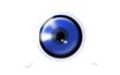 une oeil bleu