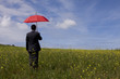 The insurance man