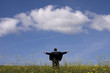 Businessman outstretched on a field