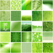 mosaïque verte