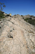 Randonee en Montagne