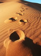 Footprints