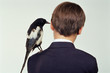 boy with magpie on his shoulder