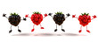 Mures et framboises