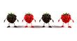 Mures et framboises