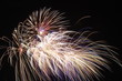 Photo: Fireworks Fireworks