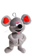 A child's mouse.