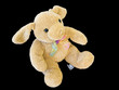 Long Eary Bear Toy
