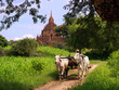 Myanmar vintage landscape Myanmar vintage landscape
