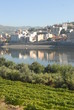 Douro Vinhateiro - Régua