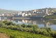 Douro Vinhateiro - Régua