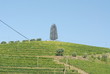 Douro Vinhateiro