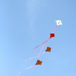 Freedom and entrapment