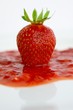 fraise fondante