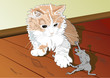 Cat and rat