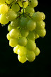 Green Grapes