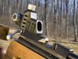 rifle sight