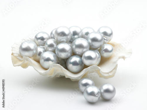 Lots Of White Pearls In The Shell