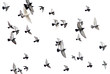 pigeons in white sky pigeons in white sky