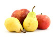 fruit