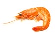 Crevette