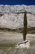 La provence