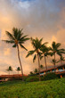Sunset in Maui resort