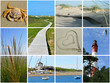 Amrumer Impressionen