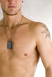 Torso