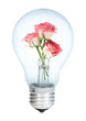 Electrobulb with a bunch of rose